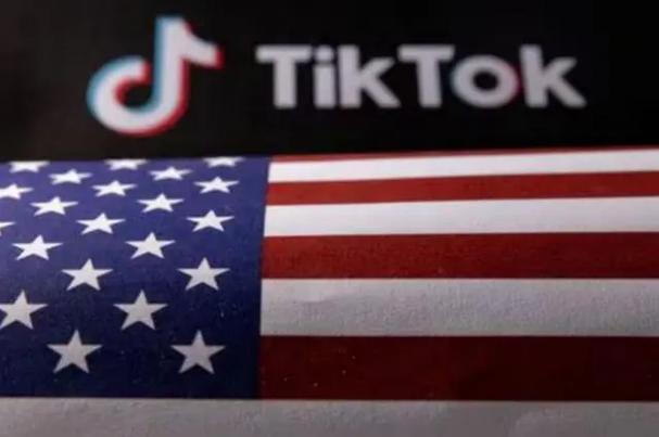 TikTok刷粉团队,标题：揭秘TikTok刷粉团队：背后隐藏的商业秘密!