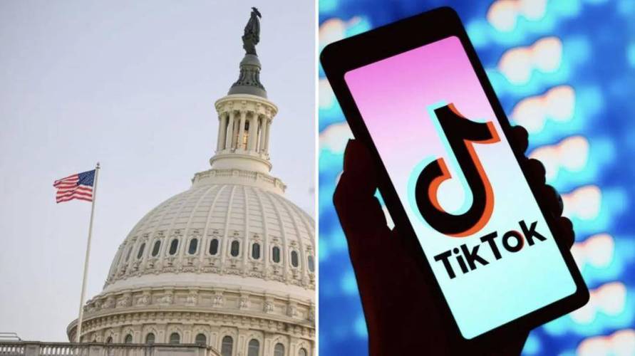 TikTok刷粉团队,标题：揭秘TikTok刷粉团队：背后隐藏的商业秘密!