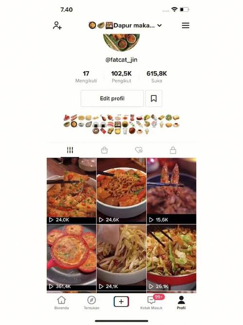 TikTok刷粉精灵,标题：揭秘TikTok刷粉精灵：从神秘到真相!