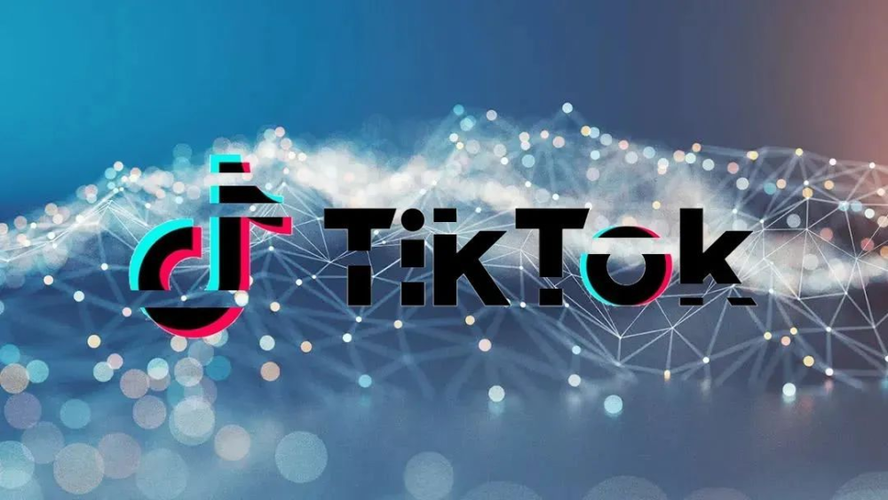 TikTok手动刷粉,标题：揭秘 TikTok 手动刷粉：一项合法却有利可图的业务!