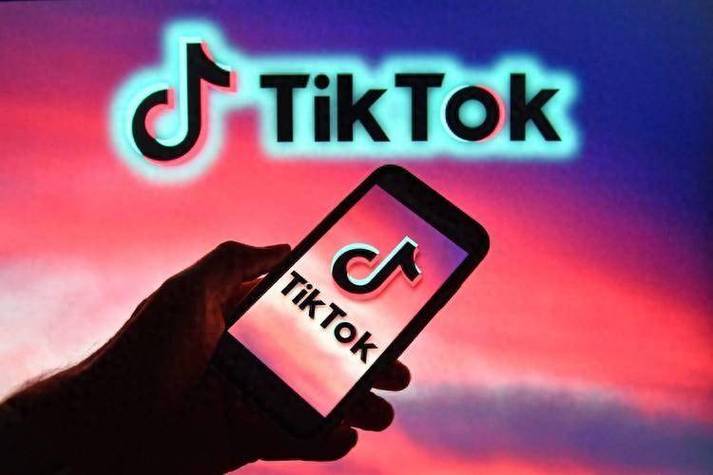 TikTok刷粉活粉,TikTok刷粉活粉：打造完美社交媒体形象的秘密武器!