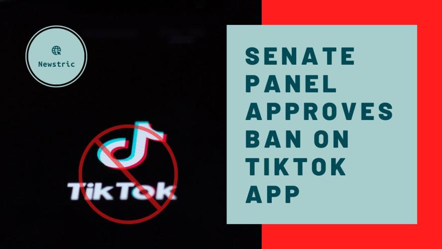 TikTok刷粉社区,标题：揭秘 TikTok 刷粉社区：黑产背后的流量操纵!