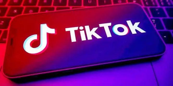 抖音国际TikTok人工粉代刷,标题：揭秘抖音国际TikTok人工粉代刷：风险与利益的权衡!
