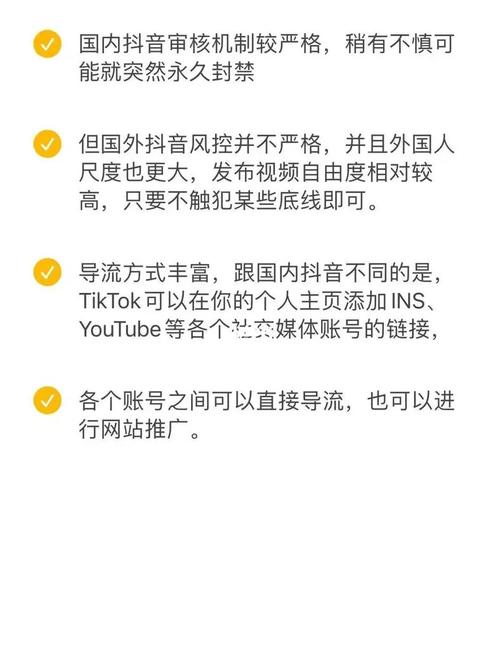 抖音国际TikTok人工粉代刷,标题：揭秘抖音国际TikTok人工粉代刷：风险与利益的权衡!