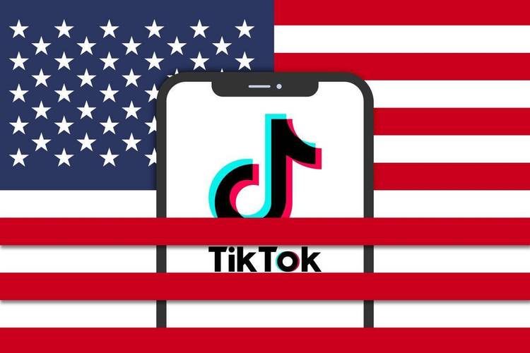 TikTok刷粉全网,TikTok刷粉全网：揭秘真相，带你探索无限可能!