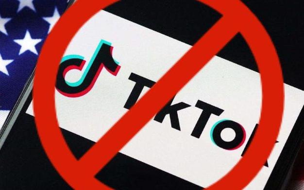 米勒TikTok刷粉,标题：米勒TikTok刷粉：揭示背后的秘密与风险!
