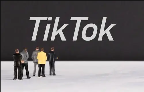 TikTok刷粉TikTok刷粉gwanpk,TikTok刷粉：揭秘背后的真相与风险!