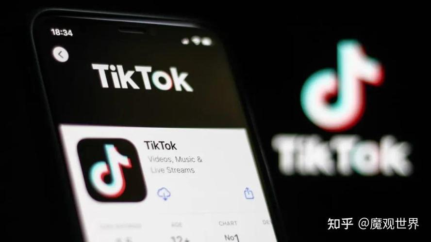 谁有TikTok刷粉,TikTok刷粉：揭秘背后的真相与风险!