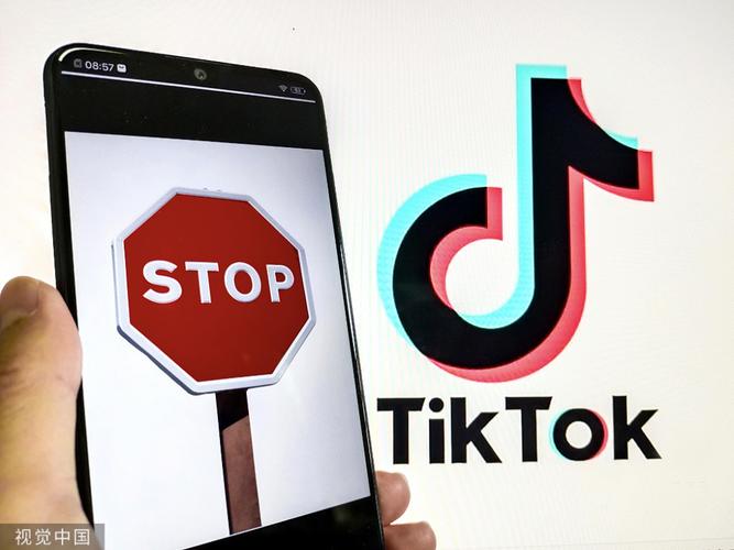 谁有TikTok刷粉,TikTok刷粉：揭秘背后的真相与风险!