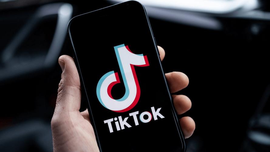 抖音国际TikTok买假粉粉对账号有没有,揭秘抖音国际版TikTok买假粉粉：影响与风险不容忽视!