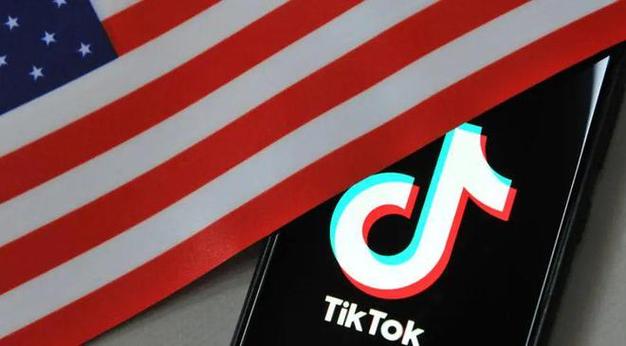 TikTok淘宝买的粉,淘宝购买的TikTok粉丝：一种可能的风险与机会!