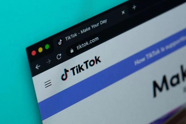 TikTok买100粉关注,TikTok买100粉关注：揭秘背后的真相与影响!