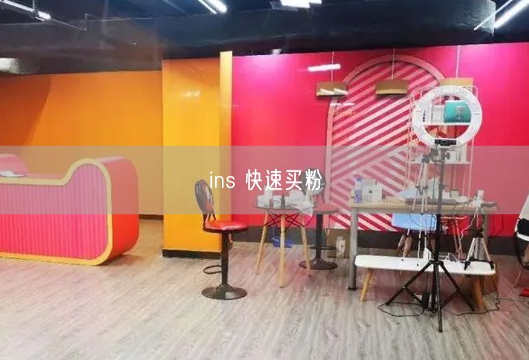 ins 快速买粉