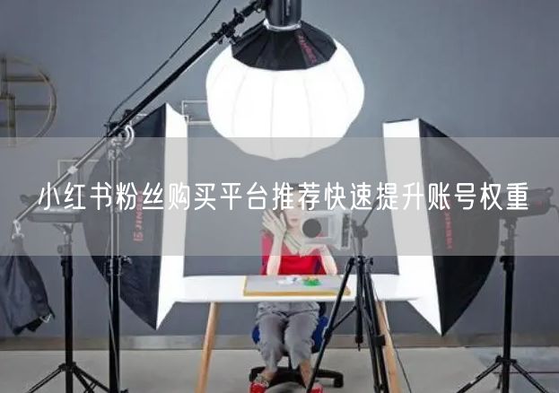 小红书粉丝购买平台推荐快速提升账号权重