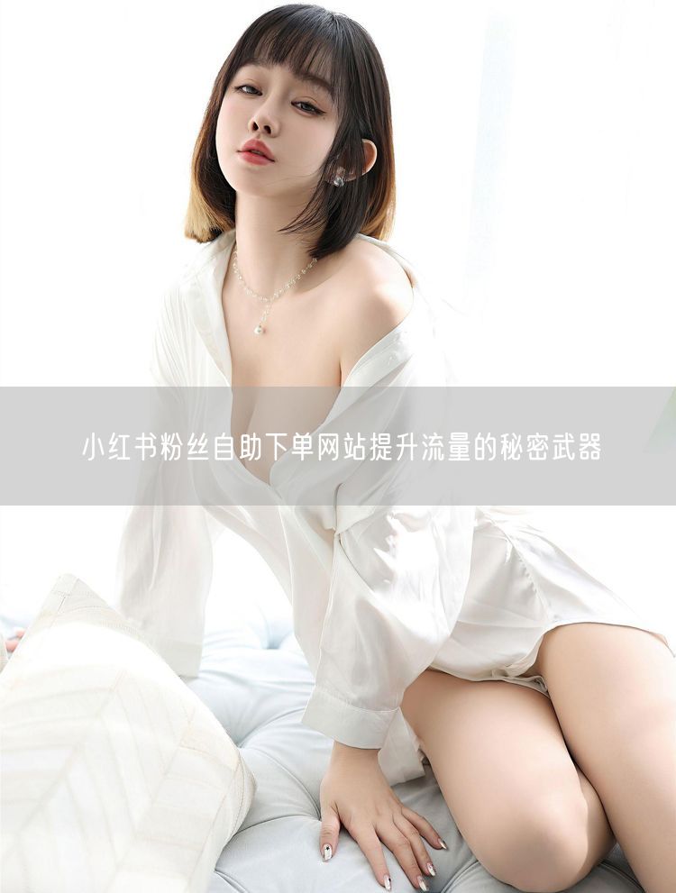 小红书粉丝自助下单网站提升流量的秘密武器