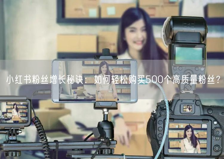 小红书粉丝增长秘诀：如何轻松购买500个高质量粉丝？