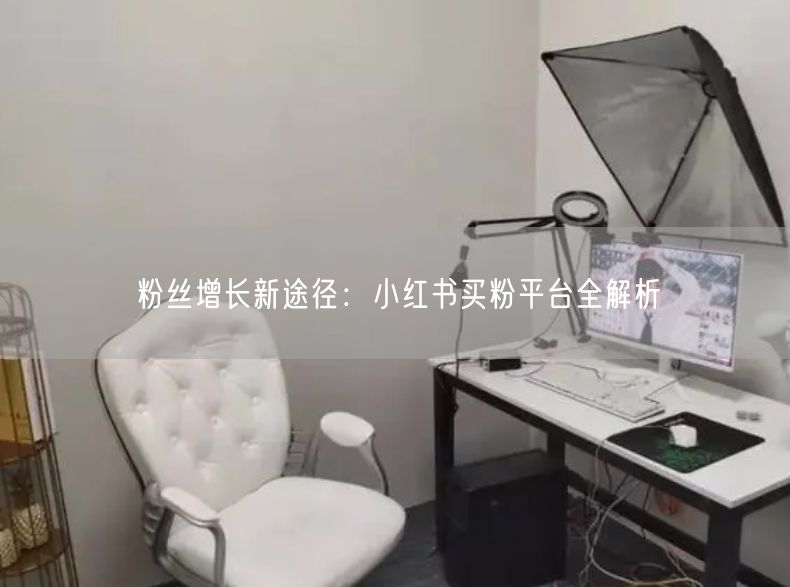 粉丝增长新途径：小红书买粉平台全解析