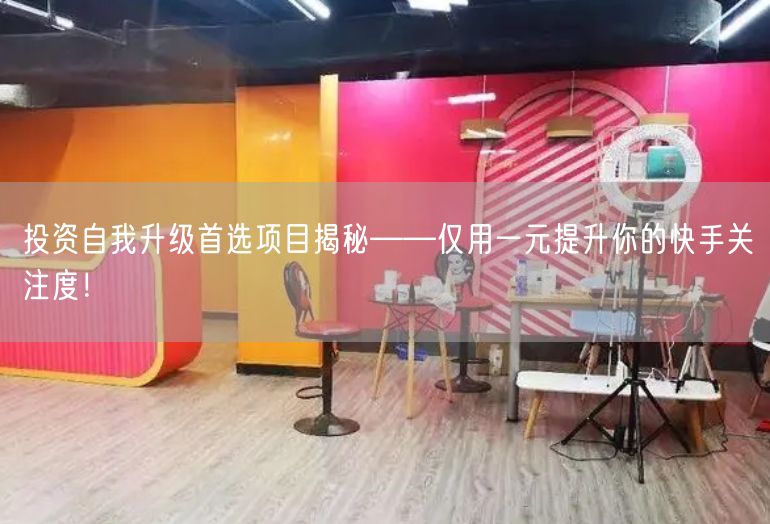 投资自我升级首选项目揭秘——仅用一元提升你的快手关注度！